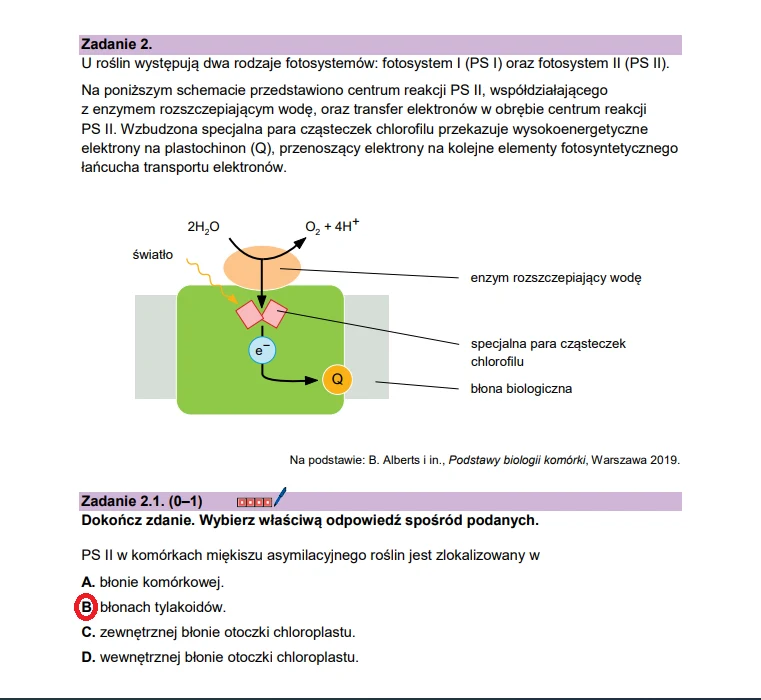 Matura 2026. Biologia, poziom rozszerzony. Arkusz CKE - zadanie 2