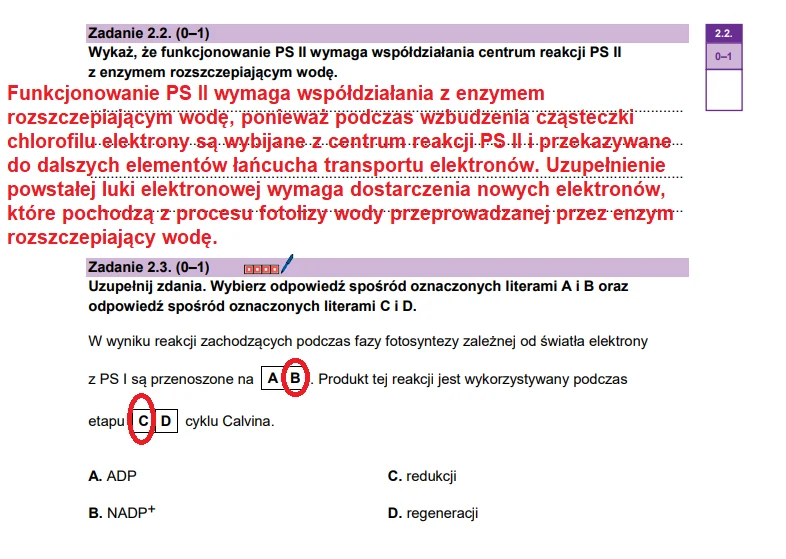 Matura 2026. Biologia, poziom rozszerzony. Arkusz CKE - zadanie 2