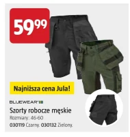 Робочі шорти Bluewear