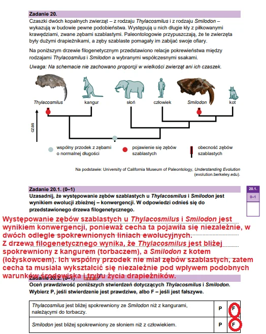 Matura 2026. Biologia, poziom rozszerzony. Arkusz CKE - zadanie 20