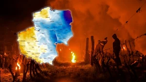 Sadownicy nie prześpią weekendowej nocy. Nawet -4 przy gruncie