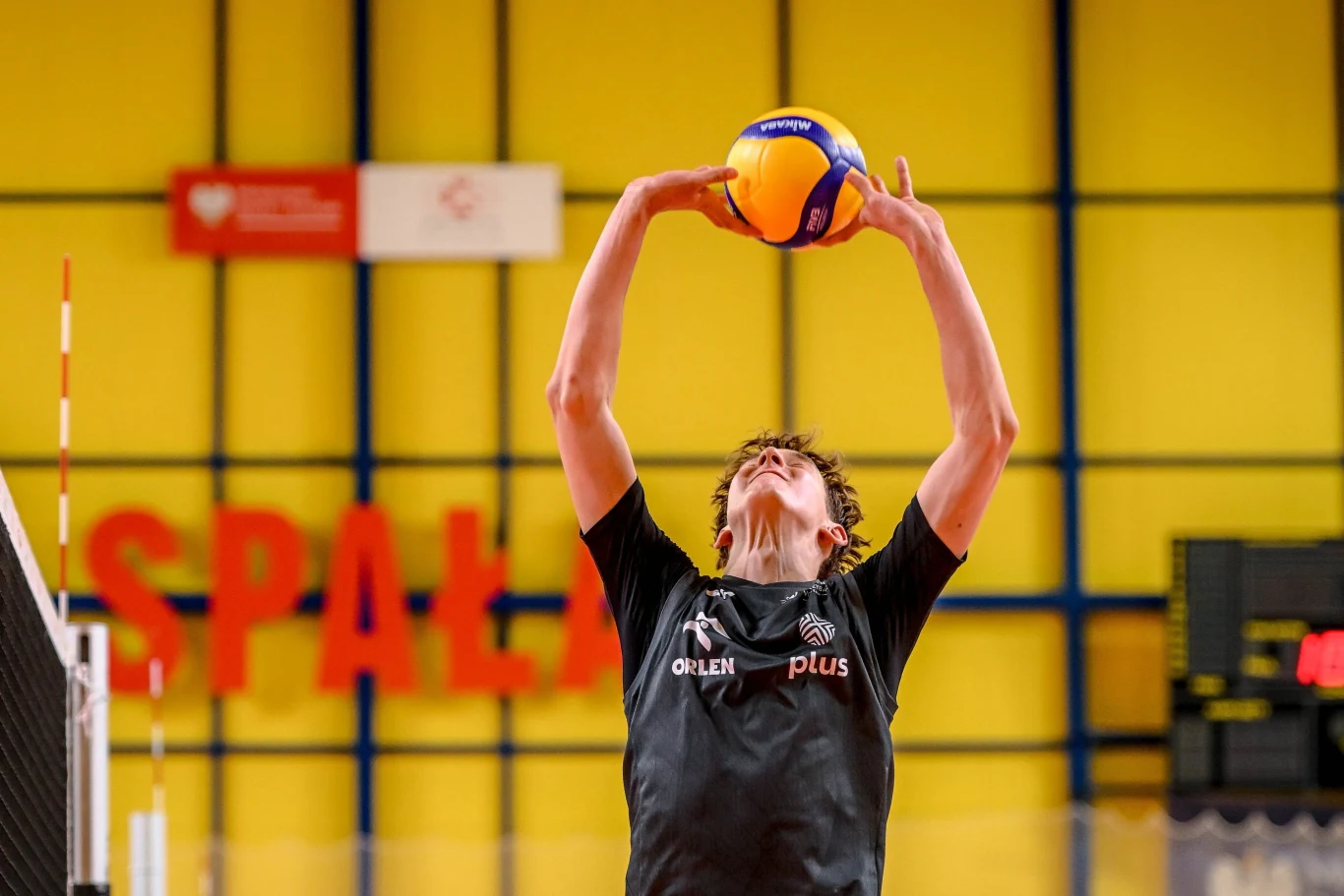 Zawodnik siatkarskiej reprezentacji unosi piłkę w górę, przygotowując się do rozegrania na hali sportowej z żółtą ścianą i napisem Spala w tle.