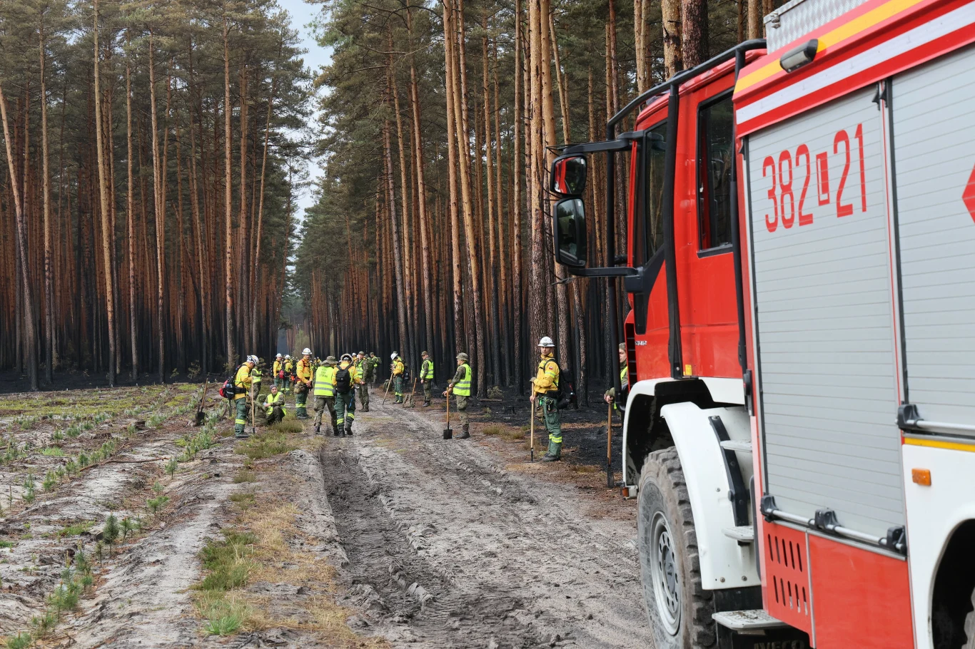 Trwa dogaszanie resztek pożaru w Puszczy Solskiej Strażacy w żółtych kamizelkach pracują przy dogaszaniu pogorzeliska w lesie sosnowym, obok stoi wóz strażacki.