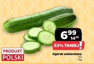 Огірок Polski