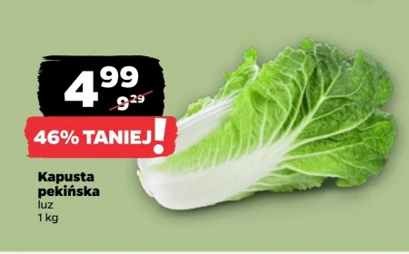 Пекінська капуста
