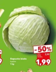 Kapusta biała