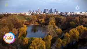 Wesele powinno się zwrócić? Polacy podzieleni. Padły mocne słowa o kopertach