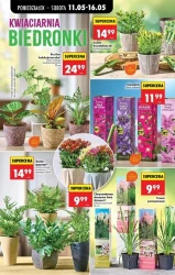 Tydzień pełen okazji – Biedronka