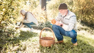Trwa majowy wysyp tych grzybów. Jest ich mnóstwo, a mało kto zbiera