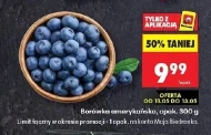 Borówka amerykańska Biedronka