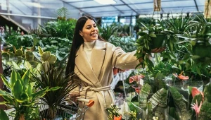 Koniecznie zrób to z kwiatami z marketu. Inaczej zniszczą resztę roślin