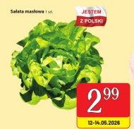 Sałata masłowa Polski