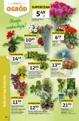 Urodzinowe hity cenowe - Auchan Hipermarket