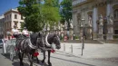 Prezydent Krakowa Aleksander Miszalski wypowiedział umowę dorożkarzowi