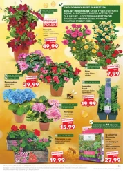 Tygodniowe hity cenowe - Kaufland