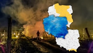 Zbliża się czas "zimnych ogrodników". Pojawią się po zachodzie słońca