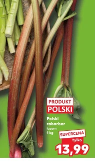 Rabarbar Polski