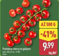 Pomidory