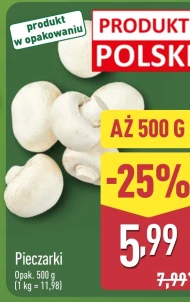 Pieczarki Polski