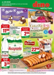 Zakupy, które się opłacają – Dino