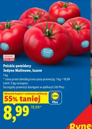 Pomidory Plus-Plus