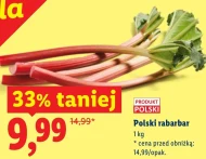 Rabarbar Polski