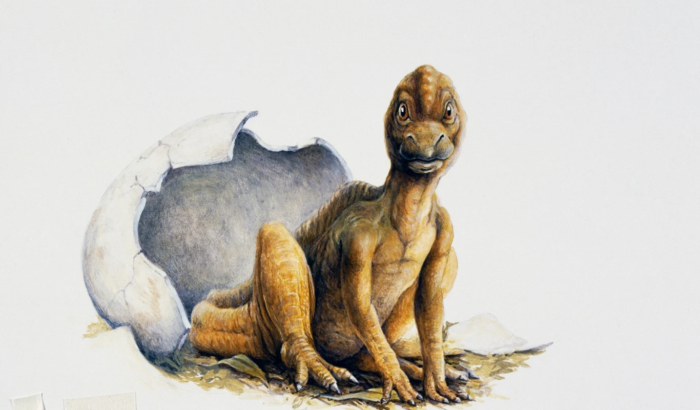Młody dinozaur siedzący na ziemi obok rozbitej skorupy jaja, z wyrazem ciekawości na pysku.