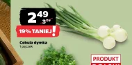 Cebula dymka