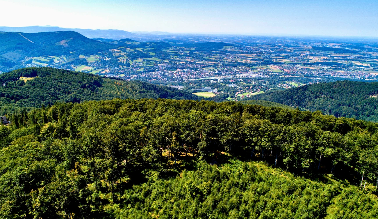 Zielone, gęsto zalesione wzgórza otaczające rozległą panoramę miasta rozciągającego się u podnóża gór, z wyraźnie widocznymi polami i niską zabudową na horyzoncie.