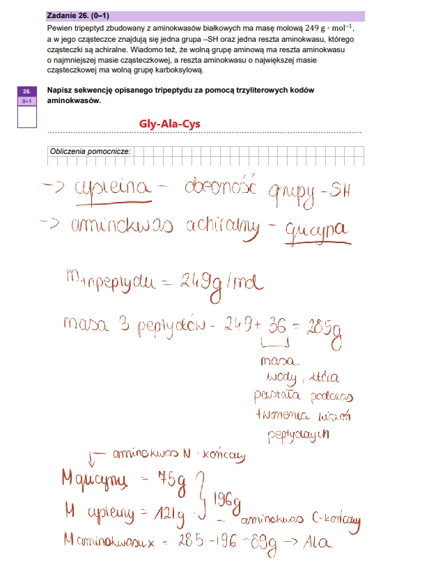 Karta odpowiedzi z zadania maturalnego z chemii z widocznym pytaniem dotyczącym aminokwasów, sekwencji tripeptydu oraz odręcznymi notatkami i obliczeniami masy molowej, w tym wyraźnie zaznaczonym ciągiem Gly-Ala-Cys.