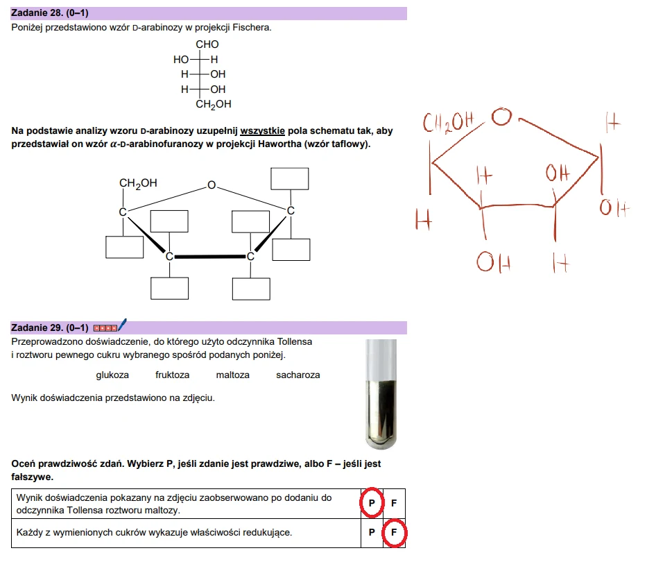 Schematy chemiczne przedstawiają wzory D-arabinozy w projekcji Fischera i Hawortha oraz reakcję wybranego cukru z odczynnikiem Tollensa, której wynik widoczny jest w probówce jako czarny osad, wraz z prawidłowo zaznaczonymi odpowiedziami do zadań.