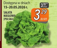 Sałata masłowa