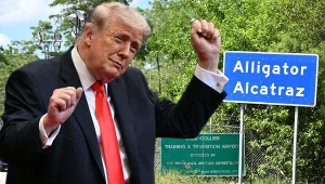 Projekt Trumpa chyli się ku upadkowi. To już koniec "Alligator Alcatraz"?