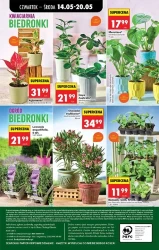 Codziennie niskie ceny - Biedronka