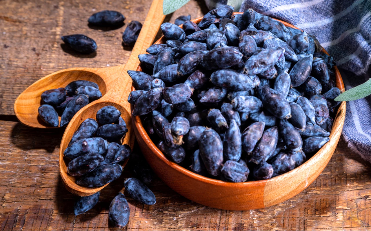 Jagoda kamczacka to prawdziwy superfood Drewniana miska wypełniona ciemnoniebieskimi jagodami kamczackimi, obok drewniana łyżka z kilkoma owocami, całość ustawiona na drewnianym stole.