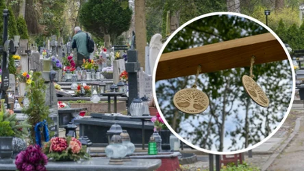 W Gliwicach, powstaje kolejne już miejsce, w którym można zdecydować się na ekologiczny pochówek / zdjęcie ilustracyjne