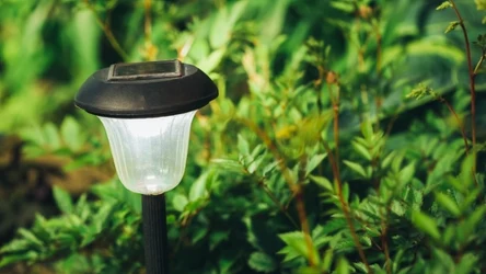 Lampy solarne to nie tylko sposób na zapewnienie oświetlenia. Wiele z nich pomaga zwalczyć komary.