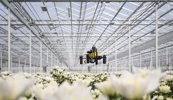 Bee-Nav — inspirowany zachowaniem pszczół dron opracowany na Delft University of Technology potrafi autonomicznie poruszać się wśród upraw szklarniowych.