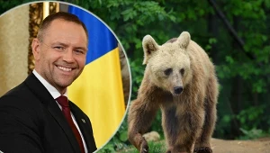 "Poznajcie Batyra". Karol Nawrocki zaadoptował niedźwiedzia