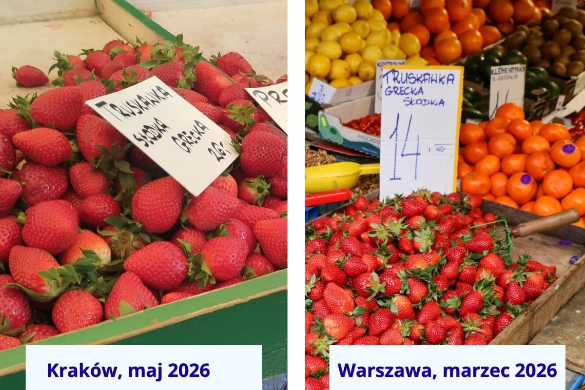 Zestawienie dwóch straganów z owocami: po lewej polskie truskawki z Krakowa ułożone w rzędy, po prawej greckie truskawki wśród pomarańczy i cytryn na targu w Warszawie, z wyraźnie widocznymi tabliczkami cenowymi.