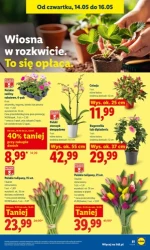 To się opłaca - Lidl