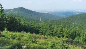 Góry Złote na pograniczu Polski i Czech. Kopalnie, szlaki i uzdrowisko