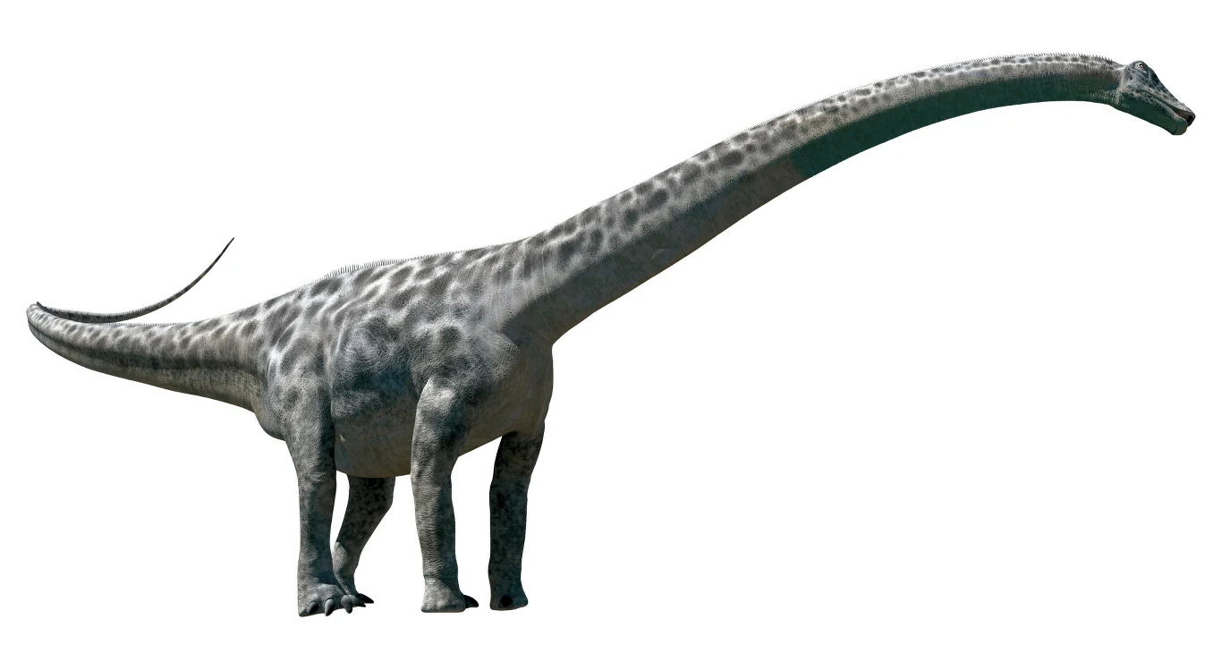 Duży dinozaur roślinożerny z wyjątkowo długą szyją i ogonem, masywnym tułowiem oraz charakterystycznym ciemnym umaszczeniem z jaśniejszymi plamami na grzbiecie.