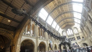 W Polsce powstanie miejsce, którego brakowało od dziesięcioleci. Na zdjęciu Muzeum Historii Naturalnej w Londynie