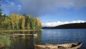 Finlandia uczy, jak być szczęśliwym. Na zdjęciu: Park Narodowy Kolovesi