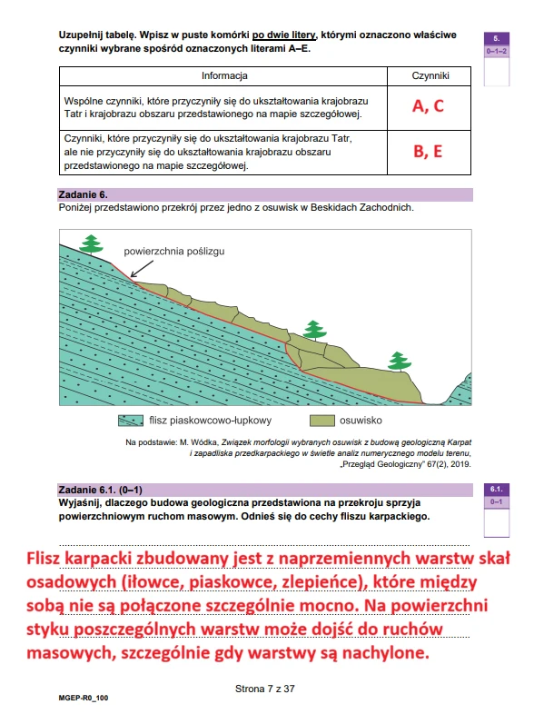 Przekrój geologiczny fliszu karpackiego pokazujący naprzemienne warstwy łupków, piaskowców i zlepieńców nachylone w kierunku powierzchni poligonu oraz widoczne drzewa na wzniesieniach.