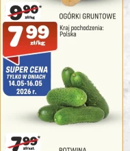 Ogórki