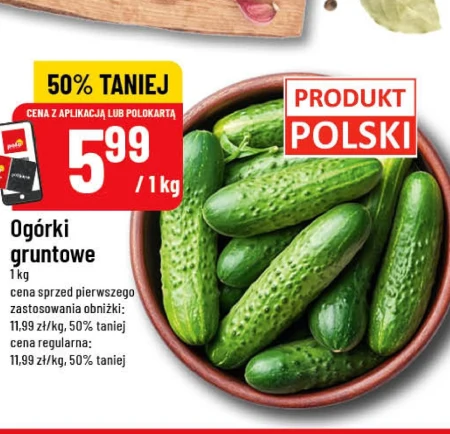 Огірки Polski
