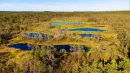 Bagna i torfowiska są zbawienne dla przyrody. Stanowią też naturalną barierę militarną