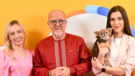 Goście "halo tu polsat"